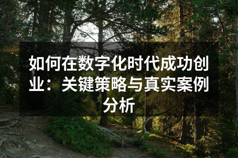 如何在数字化时代成功创业：关键策略与真实案例分析